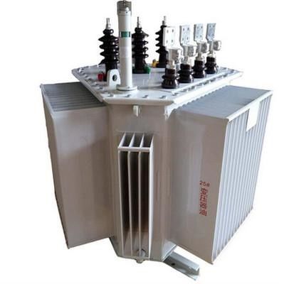 150 Kva 3 Phase Transformer 10KV Oil Type Power Transformer